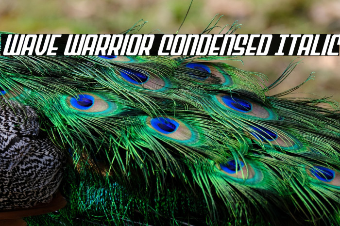 Wave Warrior Condensed Italic Example 2