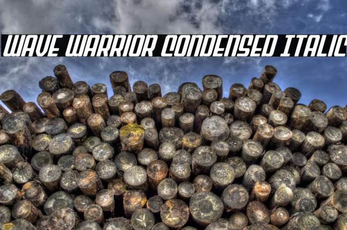 Wave Warrior Condensed Italic Example 3