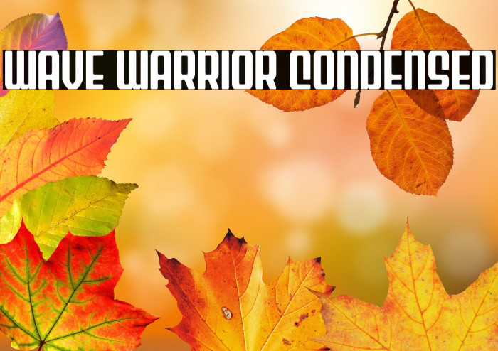 Wave Warrior Condensed Example 2