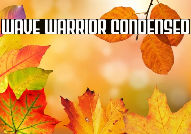 Wave Warrior Condensed Example 2