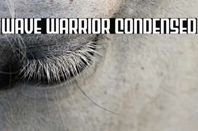 Wave Warrior Condensed Example 3