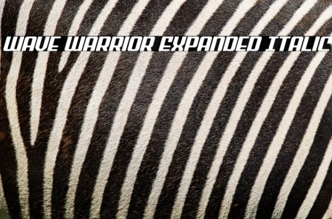 Wave Warrior Expanded Italic Example 1