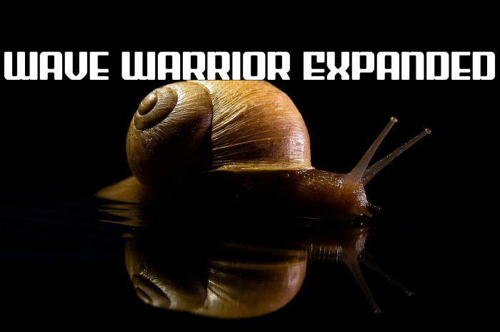 Wave Warrior Expanded Example 2