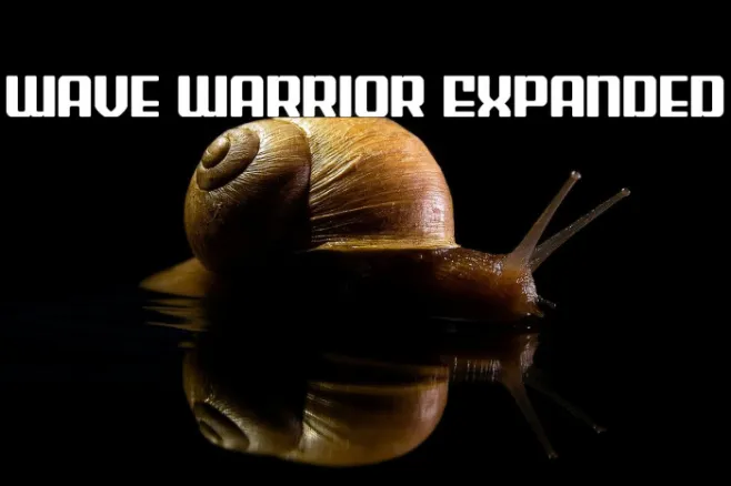 Wave Warrior Expanded Example 2