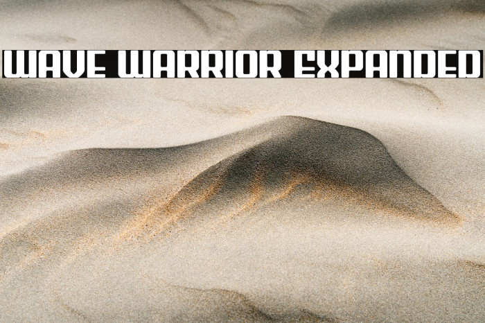 Wave Warrior Expanded Example 3