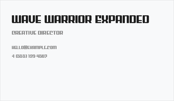 Wave Warrior Expanded Business Card