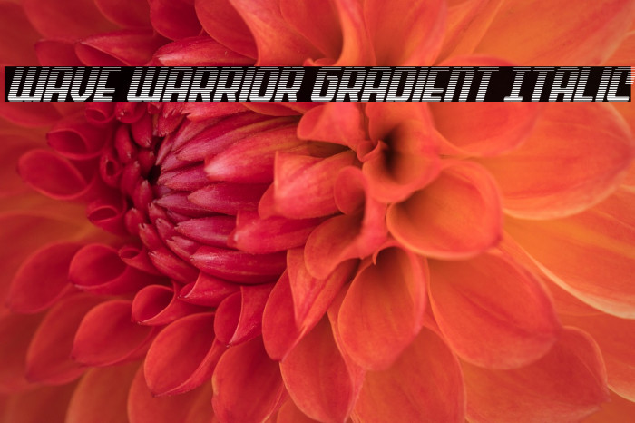 Wave Warrior Gradient Italic Example 3