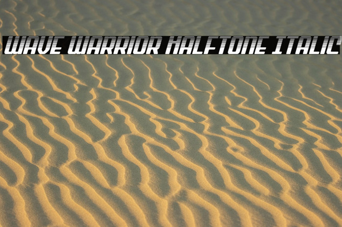 Wave Warrior Halftone Italic Example 2