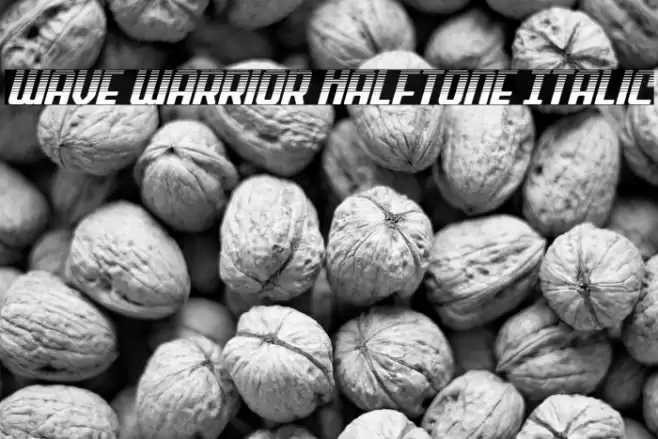 Wave Warrior Halftone Italic Font examples