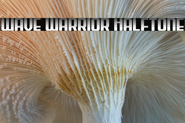 Wave Warrior Halftone Example 2