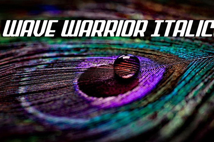 Wave Warrior Italic Example 1