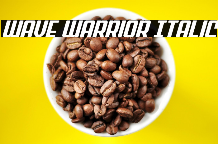 Wave Warrior Italic Example 3