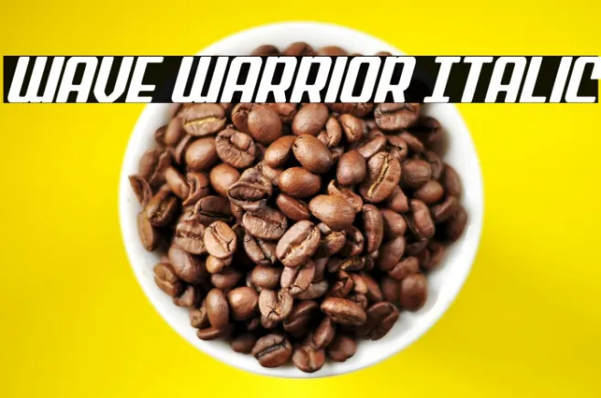 Wave Warrior Italic Example 3