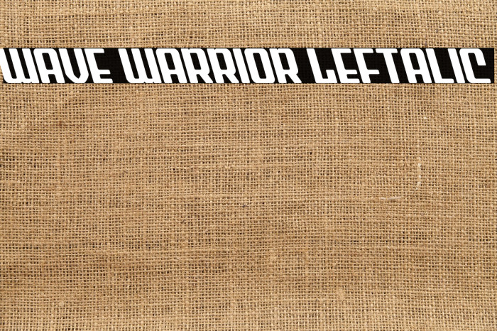 Wave Warrior Leftalic Example 3