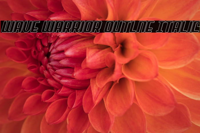 Wave Warrior Outlne Italic Example 1