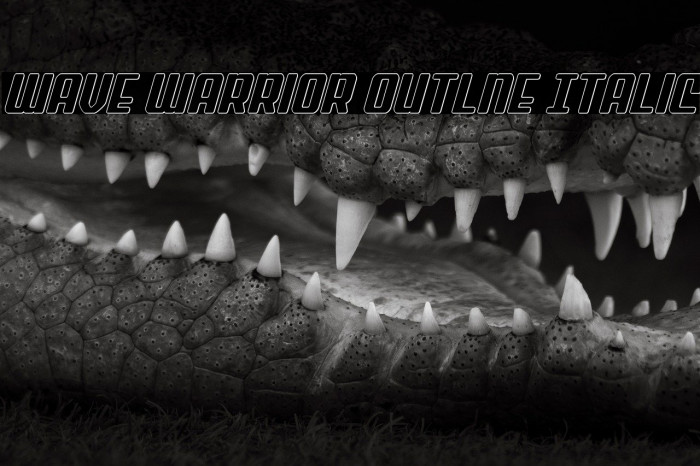 Wave Warrior Outlne Italic Example 2