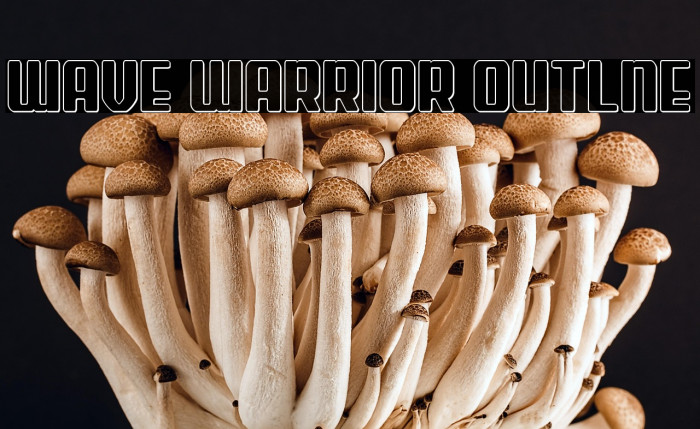 Wave Warrior Outlne Example 2