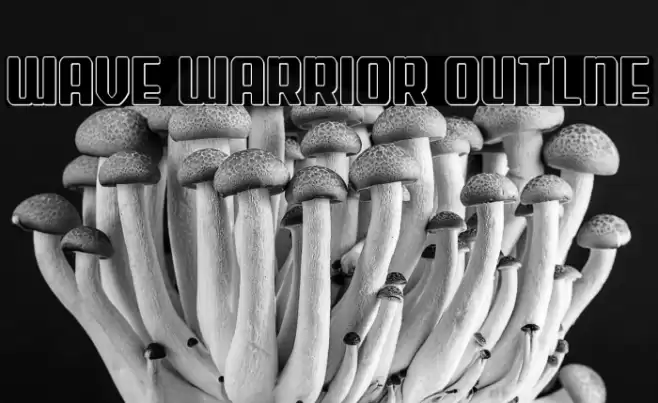 Wave Warrior Outlne Font examples