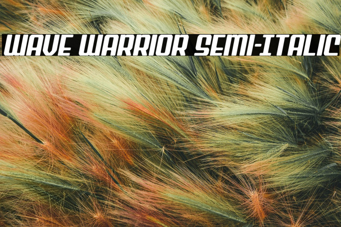 Wave Warrior Semi-Italic Example 1