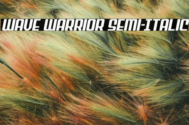 Wave Warrior Semi-Italic Example 1