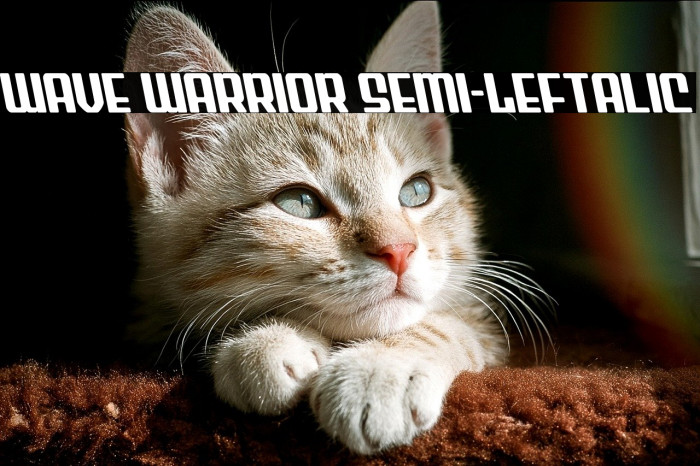 Wave Warrior Semi-Leftalic Example 2