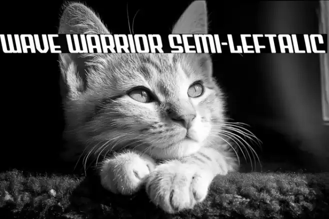 Wave Warrior Semi-Leftalic Font examples