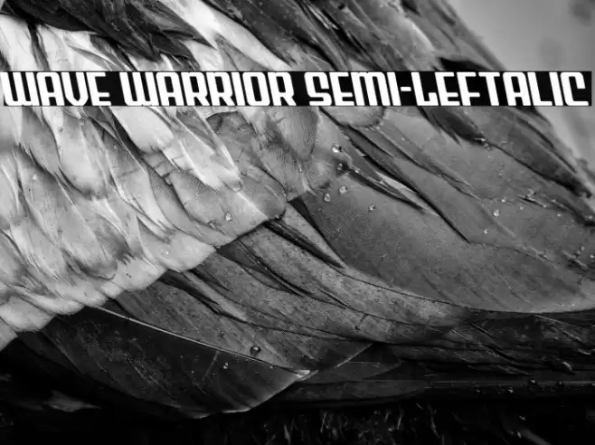Wave Warrior Semi-Leftalic Font examples