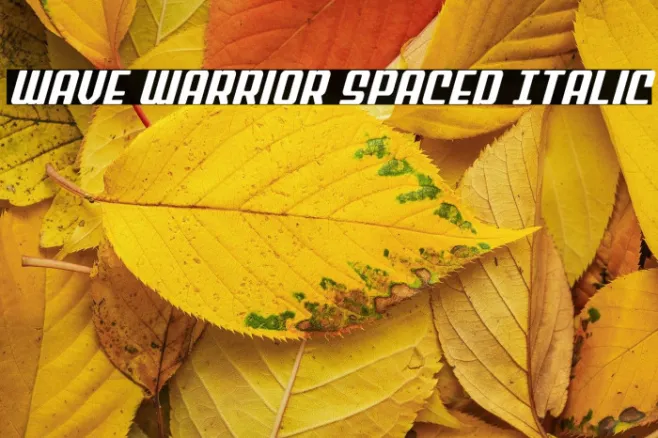 Wave Warrior Spaced Italic Example 1