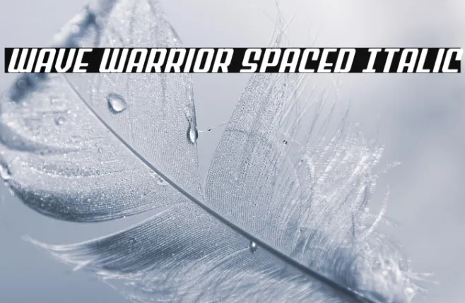 Wave Warrior Spaced Italic Example 3