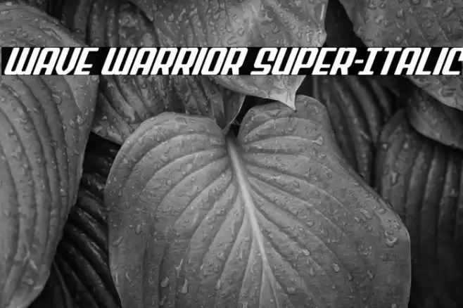 Wave Warrior Super-Italic Font examples