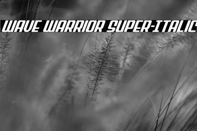 Wave Warrior Super-Italic Font examples