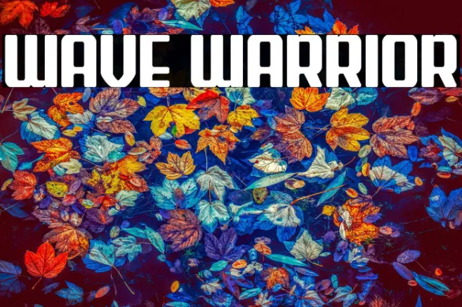 Wave Warrior Example 1