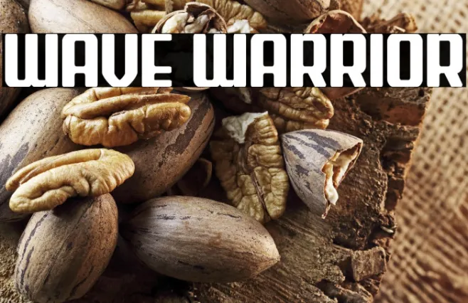 Wave Warrior Example 2