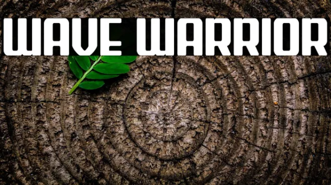 Wave Warrior Example 3