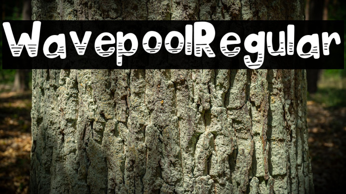 Wavepool Regular Font examples
