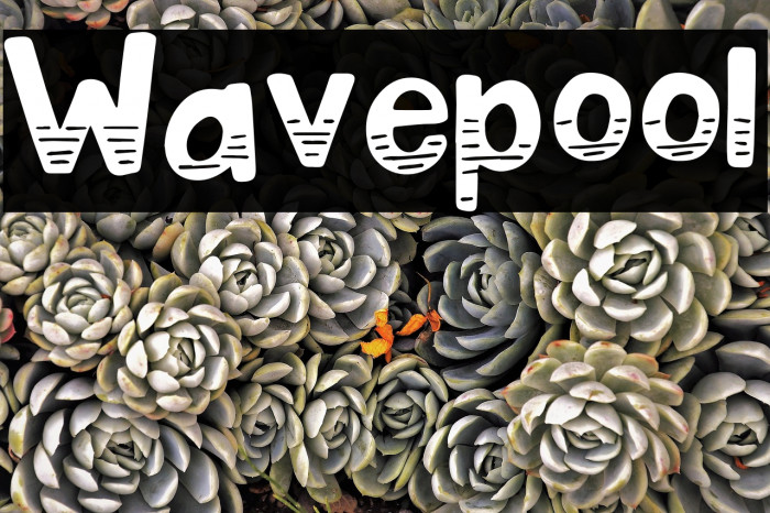 Wavepool Font examples