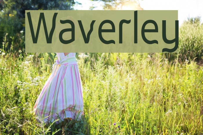 Waverley Font examples