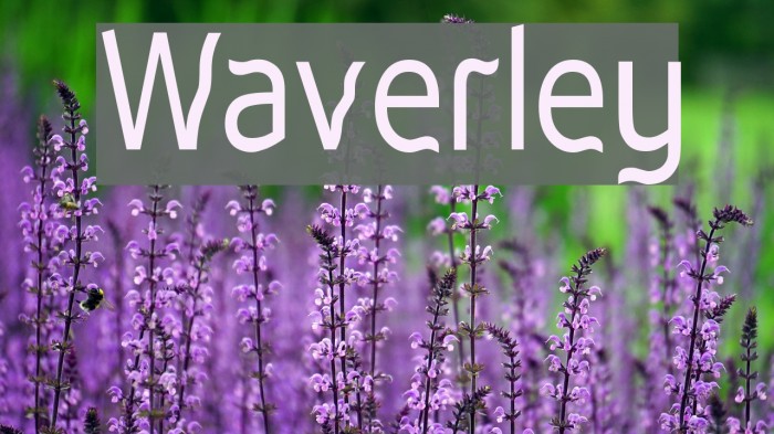 Waverley Font examples