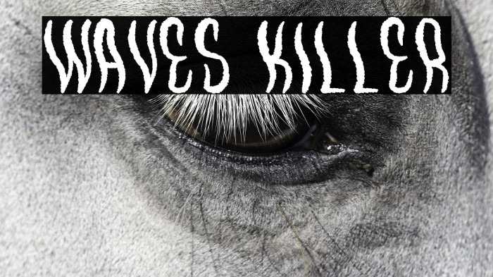 Waves Killer Example 2