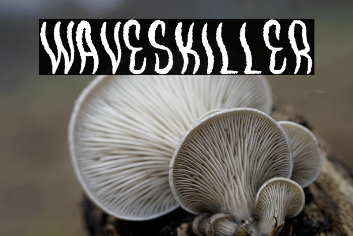 WavesKiller Example 1