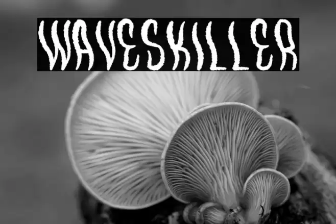 WavesKiller Font examples