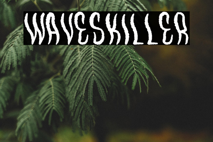 WavesKiller Example 2