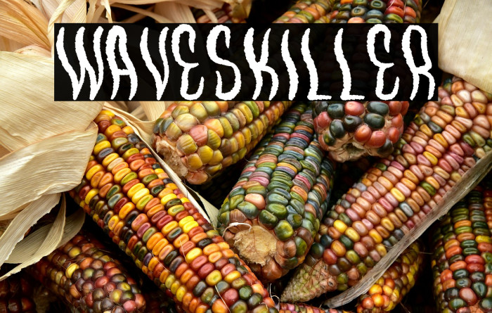 WavesKiller Example 3