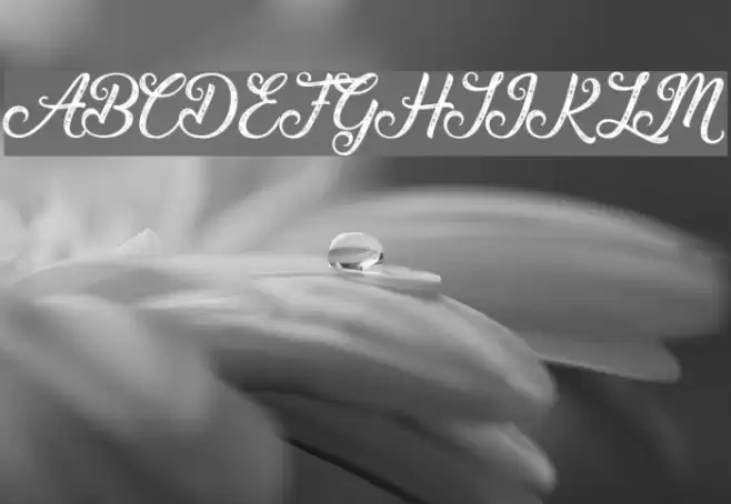 Waving at Christmas Font examples