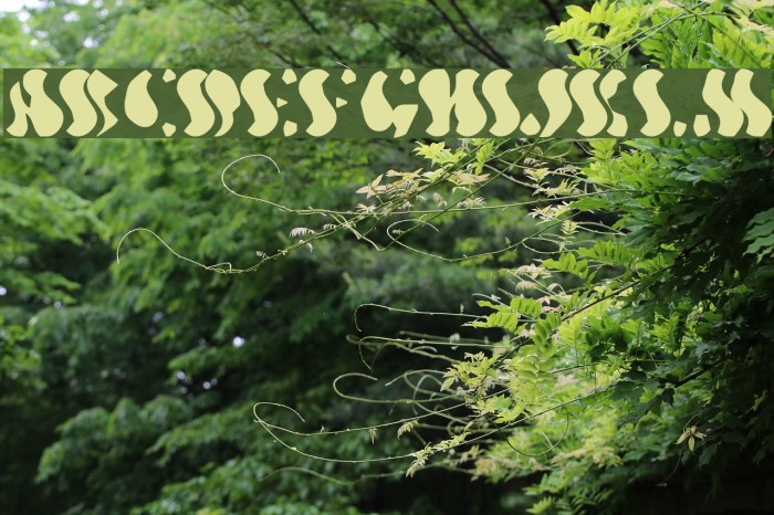 Wavy Optickal Font examples