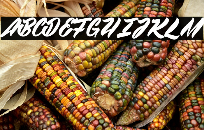 Wawie Patch_PersonalUseOnly Example 1