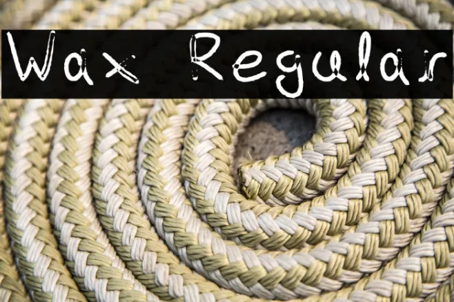 Wax - Regular Example 1