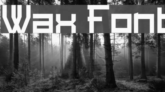 Wax Font examples