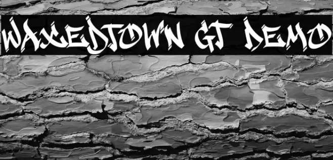 Waxedtown GT Demo Font examples