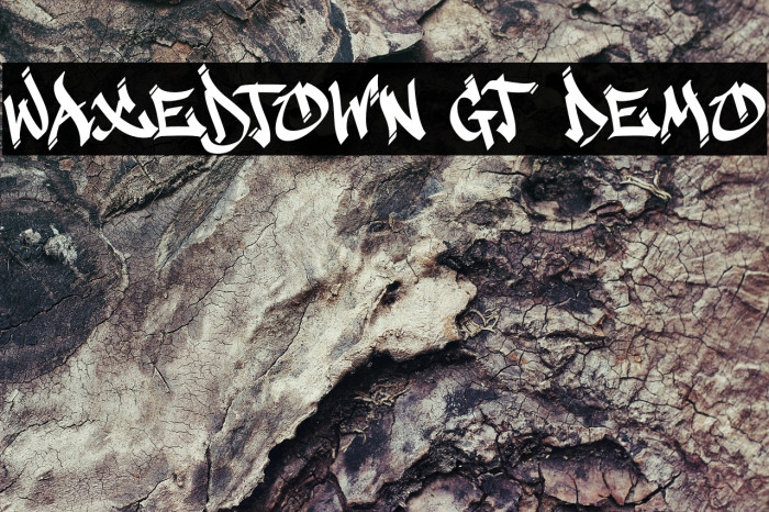 Waxedtown GT Demo Example 3